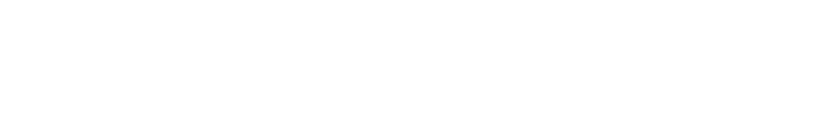 NRV2 LoFlo Logo