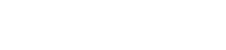 NRV2 LoFlo Logo